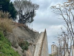-灵玲国际马戏城
