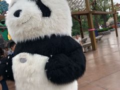 -济南方特东方神画