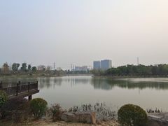 -九科绿洲
