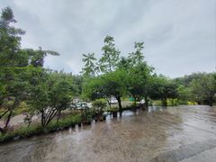-竹淋自助餐厅