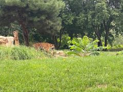 -北京野生动物园