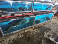 水产区-八仔大富楼·河鲜(西江店)