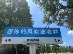 -黄海国家森林公园