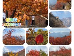 -周口店坡峰岭风景区