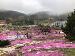 -棒棰岛宾馆景区