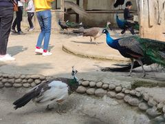 -武汉紫薇都市田园