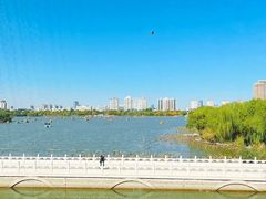 -鱼翅楼·津派砂锅鱼翅(水上公园店)