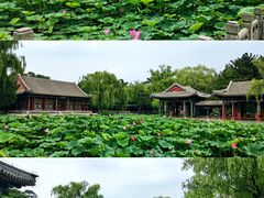-颐和园