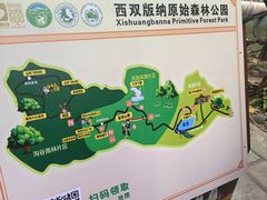 -西双版纳原始森林公园