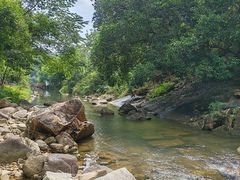 -广州白江湖森林公园