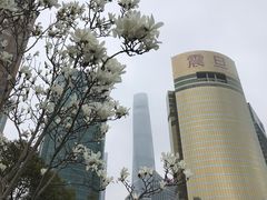 -震旦国际大楼