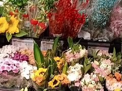 -兰岛广场(白沙路店)