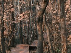 -南京市无想山景区