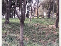 -西安曲江寒窑遗址公园