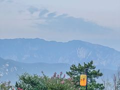 -禅宗少林·音乐大典