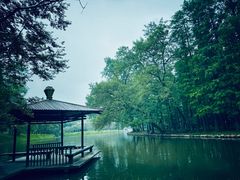 -上海共青森林公园