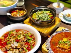 -陈麻婆豆腐总店