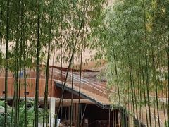 -北京望京凯悦酒店The Lounge大堂酒廊