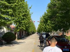 -莱阳濯村樱花园
