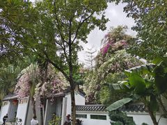 -深圳国际园林花卉博览园