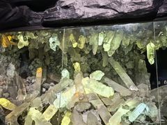 -湖南省地质博物馆