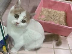-FAELING PETS美天灵宠物(富力广场店)