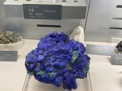 -中国地质博物馆