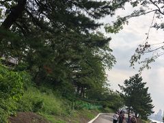 -台场海滨公园船码头