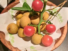 -季季山·云南野生菌火锅(上海首店)