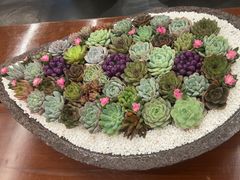 -鑫缘汇(南滨路店)