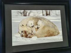 -罗红摄影艺术馆