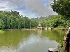 -深圳仙湖植物园