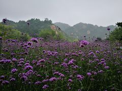 -云峰山自然风景区