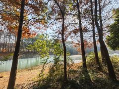 -贡湖湾湿地公园