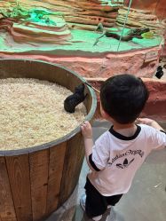 -Zoolung Zoolung动物主题公园(海信广场店)