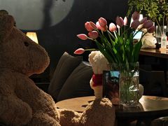 -咖法森林·咖啡  酒吧(天河店)