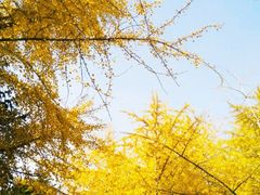 -辽宁大学(崇山校区)