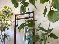 -青莯_Percher Coffee Shop(皮市街店)