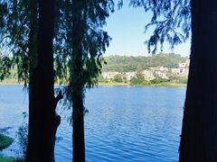 -白云湖畔酒店-湖畔餐厅