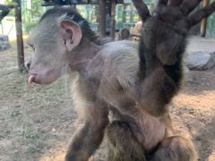 -西安秦岭野生动物园
