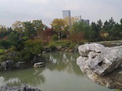 -桐乡植物园