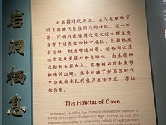 -广西壮族自治区博物馆