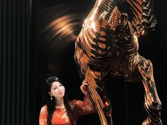 -映月湖公园