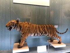 -浙江自然博物院(杭州馆)