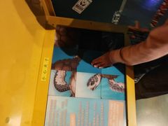 -沈阳海洋探索中心