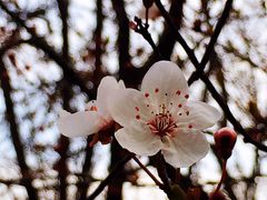 -苏州河梦清园环保主题公园