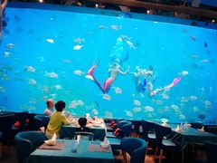 大堂-瑞德姆美人鱼海底演艺主题餐厅(亚龙湾店)