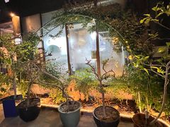 -小湾茶楼