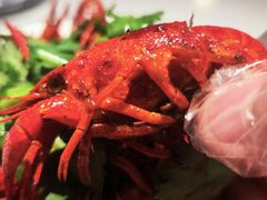 -阿胖龙虾(罍街店)