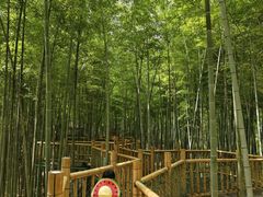 -陶祖圣境风景区